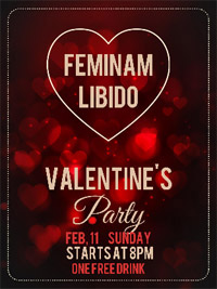 walentynki 14 luty poster
